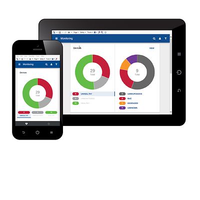 AMS-P-Device View